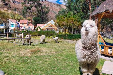 ARANWA HOTELS RESORTS & SPAS | Lima | Fotos 14