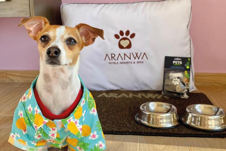 ARANWA HOTELS RESORTS & SPAS | Lima | 1